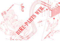 RADIATORE OLIO per Ducati Multistrada 1200 ABS 2014