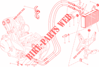 RADIATORE OLIO per Ducati Multistrada 1200 S Pikes Peak 2014