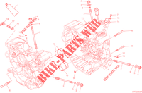 CARTER MOTORE per Ducati Hypermotard 2015