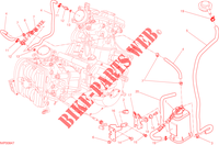 EVAPORATIVE EMISSION SYSTEM (EVAP) per Ducati Hypermotard 2015