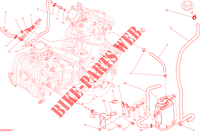 EVAPORATIVE EMISSION SYSTEM (EVAP) per Ducati Hyperstrada 2015