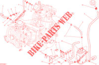 EVAPORATIVE EMISSION SYSTEM (EVAP) per Ducati Hypermotard SP 2015