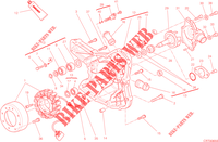 COPERCHIO / GENERATORE per Ducati Hypermotard 2014
