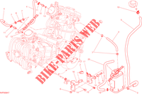 EVAPORATIVE EMISSION SYSTEM (EVAP) per Ducati Hypermotard 2014