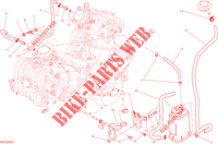EVAPORATIVE EMISSION SYSTEM (EVAP) per Ducati Hyperstrada 2014
