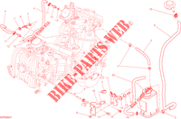 EVAPORATIVE EMISSION SYSTEM (EVAP) per Ducati Hyperstrada 2013