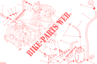 EVAPORATIVE EMISSION SYSTEM (EVAP) per Ducati Hypermotard SP 2013