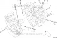 CARTER MOTORE per Ducati Monster 1200 S 2017