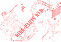 RADIATORE OLIO per Ducati Multistrada 1200 S GT 2014