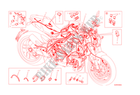 IMPIANTO ELETTRICO per Ducati Monster 1200 2015