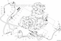 EVAPORATIVE EMISSION SYSTEM (EVAP) per Ducati Multistrada 1260 Touring 2019
