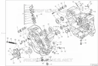 CARTER MOTORE per Ducati Multistrada 950 S 2019