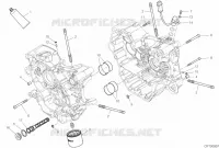 CARTER MOTORE per Ducati Multistrada 950 S 2019