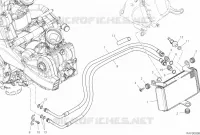 RADIATORE OLIO per Ducati Multistrada 950 S 2019