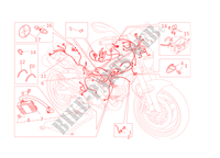 IMPIANTO ELETTRICO per Ducati Monster 696 2013