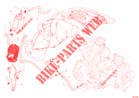 EVAPORATIVE EMISSION SYSTEM (EVAP) per Ducati Diavel 1200 White Stripe 2013