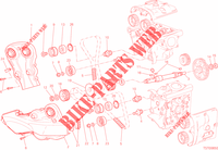 DISTRIBUZIONE per Ducati Monster 821 2015