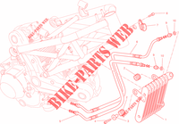 RADIATORE OLIO per Ducati Monster 795 ABS Red Stripe 2015