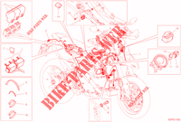 CABLAGGIO ELETTRICO per Ducati Hypermotard 950 2021