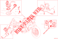 PARTI ELETTRICHE per Ducati Scrambler 1100 Sport Pro 2022