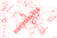 CABLAGGIO ELETTRICO per Ducati Hypermotard 950 2022