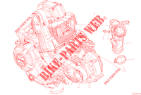 COLLETTORI ASPIRAZIONE per Ducati Scrambler 800 Next-Gen Nightshift 2023