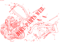 TELAIO per Ducati Scrambler 800 Next-Gen Nightshift 2023