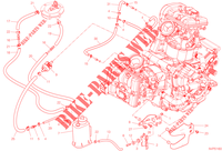 EVAPORATIVE EMISSION SYSTEM (EVAP) per Ducati Multistrada V2 2023