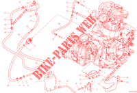 EVAPORATIVE EMISSION SYSTEM (EVAP) per Ducati Multistrada V2 S 2023