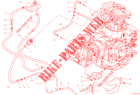 EVAPORATIVE EMISSION SYSTEM (EVAP) per Ducati Multistrada V2 S Travel 2023