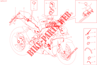 CABLAGGIO ELETTRICO per Ducati Streetfighter V4 2023