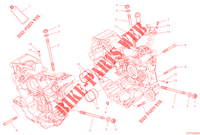 CARTER MOTORE per Ducati SUPERSPORT 950 S 2023