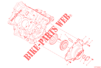 COPERCHIO / GENERATORE per Ducati PANIGALE V4 R 2023